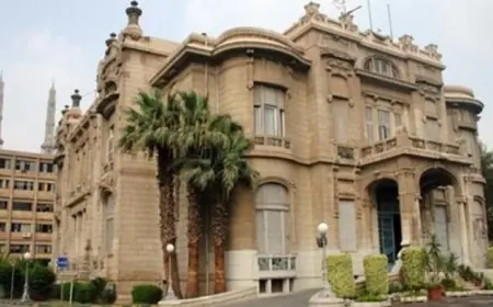 جامعة عين شمس الأهلية 2026 تعرف على شروط القبول والمصروفات والكليات المتاحة للطلاب