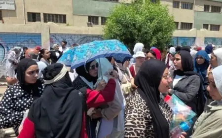 وزير الخارجية يلتقي بنظيره السعودي لمناقشة تطورات المنطقة وأهمية إنهاء التصعيد