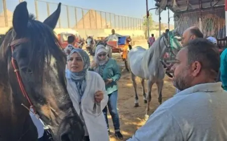 وزير الخارجية المصري يعلن استعداد مصر لدعم فنزويلا في التصدي لتبعات الزلزالين