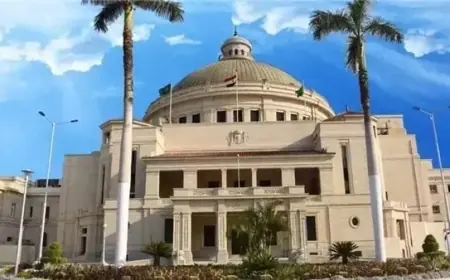 اكتشف مؤشرات تنسيق جامعة القاهرة الأهلية 2026 وأهم الكليات والبرامج المتاحة لك
