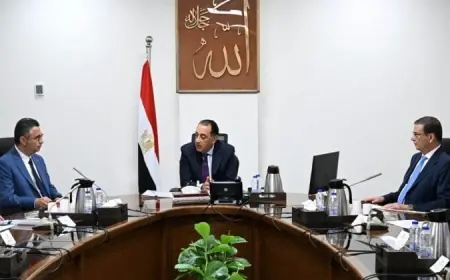الحكومة تعزز الاحتياطي الاستراتيجي من السلع بتكليفات رئاسية لضبط الأسواق وتحقيق الاستقرار الاقتصادي