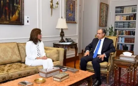 عبد العاطي يلتقي برئيسة الأكاديمية الوطنية للتدريب لتعزيز التعاون في تأهيل الكوادر الدبلوماسية