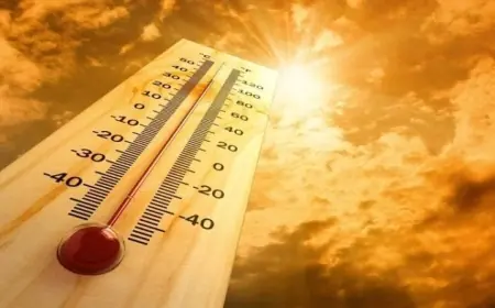 الأرصاد تحذر من طقس غائم مع شبورة ورياح ورطوبة يوم الأربعاء 5 أغسطس 2026