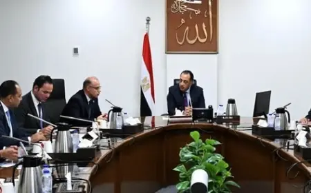 صندوق مصر السيادي يخطط للتوسع الدولي من خلال صناديق استثمار جديدة لتعزيز الاقتصاد الوطني