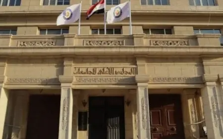 الأعلى للجامعات ينشر دليل البرامج الخاصة بالجامعات الحكومية رسميًا