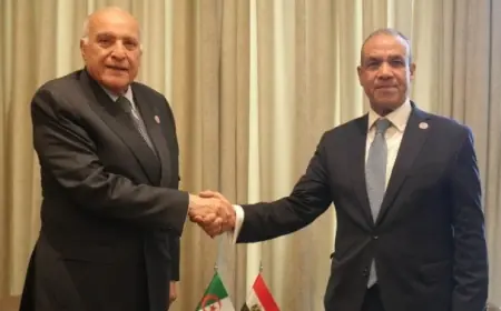 وزير خارجية مصر والجزائر يؤكدان ضرورة الحفاظ على وحدة ليبيا واستقرارها