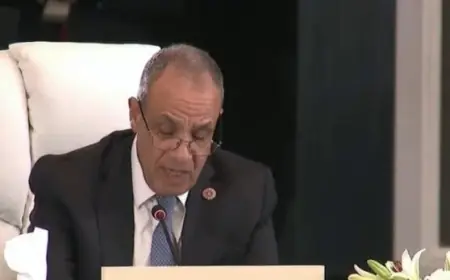 وزير الخارجية يؤكد أن القضية الفلسطينية تواجه أخطر منعطف في تاريخها