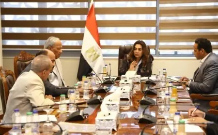 وزيرة التنمية المحلية تناقش مع نواب ثلاثة محافظات احتياجات المواطنين والملفات الخدمية الهامة