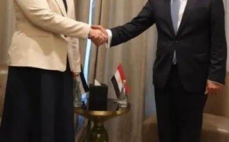 مصر تؤكد رفضها القاطع للإجراءات الإسرائيلية في الأراضي الفلسطينية المحتلة