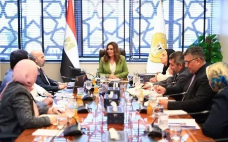 مصر تعزز جهود حماية البيئة من خلال استكمال مشروع زراعة أشجار المانجروف على سواحل البحر الأحمر