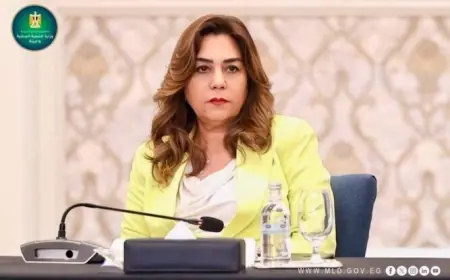 الرئيس السيسي يقرر منح 400 ألف دولار لدراسات تطوير محطة معالجة مياه أبو رواش
