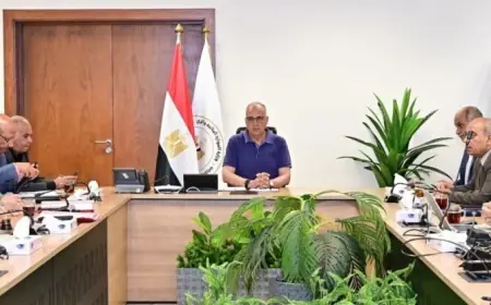 وزير الري يناقش الاستعدادات لإطلاق المرحلة الثانية من برنامج Water-JCAR بالتعاون مع هولندا