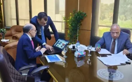 الكهرباء تعلن تكليف الرئيس السيسي لتعزيز العوائد من الموارد الأرضية