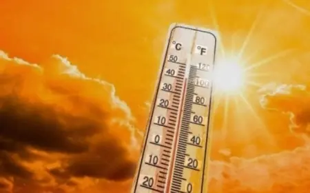 تحذيرات الأرصاد الجوية لطقس الجمعة 7 أغسطس 2026 من ارتفاع درجات الحرارة والشبورة الصباحية
