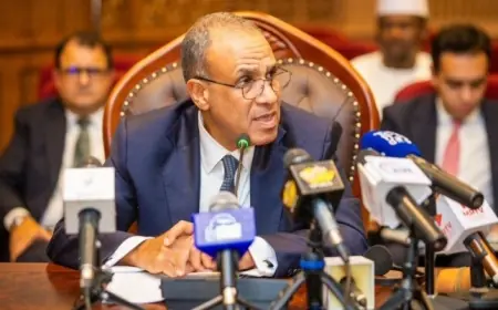 وزير الخارجية يؤكد أهمية تعزيز العلاقات مع تشاد من خلال الاستثمارات وخلق فرص العمل