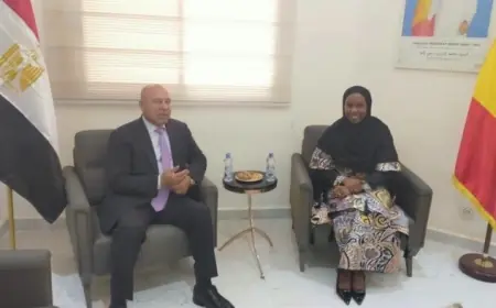 4300 كيلومتر من الروابط على خريطة إفريقيا تفاصيل الممر اللوجستي المصري التشادي الذي يغير المشهد الاقتصادي