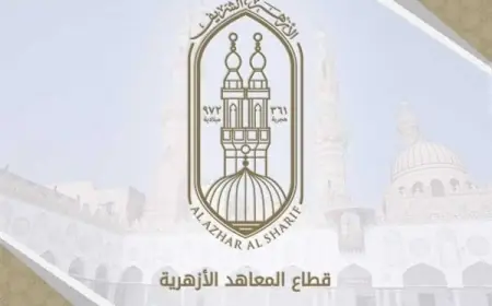 نتائج المرحلة الأولى لتنسيق رياض الأطفال والصف الأول الأزهري وكيفية الاستعلام عنها عبر الرابط