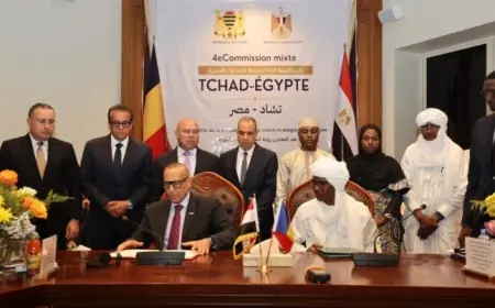 فرص جديدة للتعاون الاقتصادي في اجتماعات الدورة الرابعة للجنة المشتركة بين مصر وتشاد