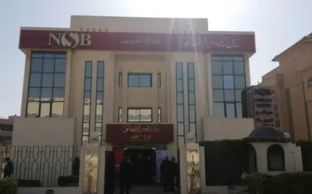 بنك ناصر الاجتماعي يعلن عن برنامج تدريبي جديد لطلاب منحة الدكتور علي مصيلحي
