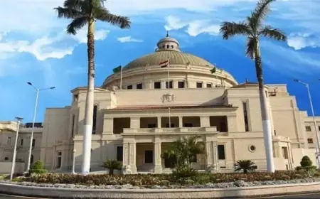 تجنب فخ الكيانات الوهمية تعلم 5 خطوات هامة من التعليم العالي لحماية نفسك
