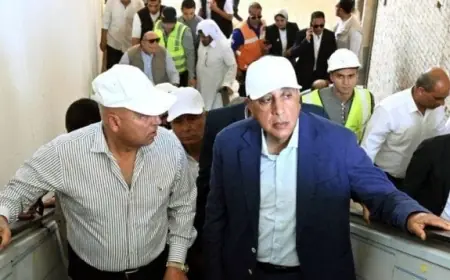 الهلال الأحمر المصري يعزز دعم غزة بنقل 4226 طنًا من المساعدات عبر قافلة زاد العزة 252