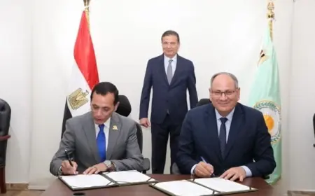 تعاون مثمر بين الريف المصري الجديد والبنك الزراعي لإنتاج هجن الطماطم في المغرة