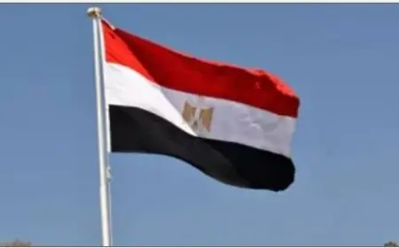 مصر تقدم تعازيها للنيجر في ضحايا حادث تصادم الحافلتين المأساوي