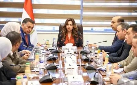 وزيرة التنمية المحلية ومحافظ القليوبية يناقشان خطة مبتكرة لتحسين إدارة المخلفات في القليوبية