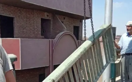 محافظ الجيزة يتفقد عمليات صيانة وتطوير حواجز محور صفط اللبن مع صور حصرية