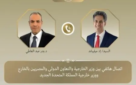 مصر وبريطانيا تعززان التعاون لتعزيز الأمن والاستقرار الإقليمي