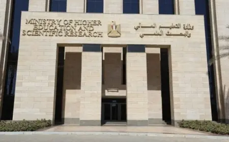 فحص 390 طلبا في يوليو 2026 التعليم العالي تكشف كيفية تقديم الشكاوى والالتماسات