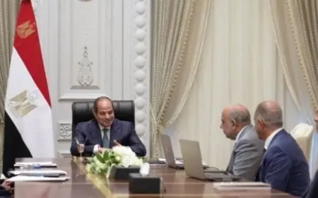 الرئيس السيسي يؤكد على أهمية تعزيز التصنيع المحلي في الرمال السوداء والعناصر الأرضية النادرة