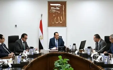 رئيس الوزراء يطلع على آخر تطورات مشروع مستشفى 500500 في الشيخ زايد
