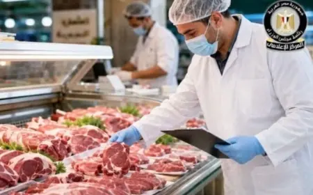 حملات تفتيشية صارمة على أسواق اللحوم ومحلات الجزارة وضبط المتورط في قضية الختم المزور بالوراق