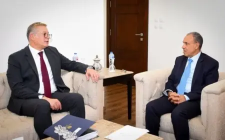 وزارة الخارجية ووزارة البترول تستعدان لمنتدى مصر للتعدين من خلال بحث سبل جذب الاستثمارات الأجنبية