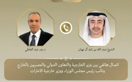 وزيرتا خارجية مصر والإمارات يشددان على ضرورة تنفيذ استحقاقات خطة السلام في غزة