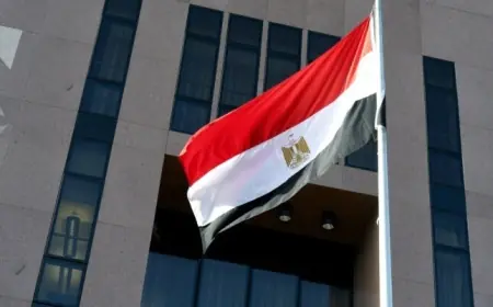 مصر تطالب الإعلام العربي والدولي بالحرص على دقة المعلومات حول القضايا المصرية