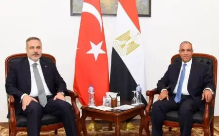 وزير الخارجية يؤكد عزم مصر على دراسة إنشاء منطقة صناعية تركية شاملة الخدمات