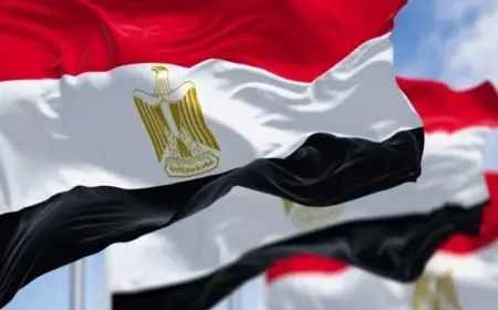 مصر تعبر عن إدانتھا الشديدة لاستهداف سفينتين إماراتيتين في مضيق هرمز