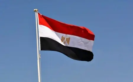 التعليم العالي تطلق خدمة حساب المجموع الاعتباري إلكترونيًا للشهادات المعادلة