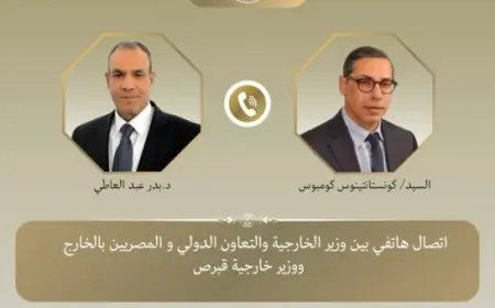 وزير الخارجية يؤكد أهمية تنفيذ مذكرة التفاهم لتوظيف العمالة المصرية في قبرص