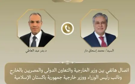 اجتماع وزيري خارجية مصر وباكستان لبحث آخر التطورات الإقليمية ومساعي خفض التوتر