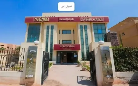 بنك ناصر الاجتماعي يطلق مبادرات ومشروعات تنموية لتعزيز الأمن الغذائي ودعم القطاع الزراعي