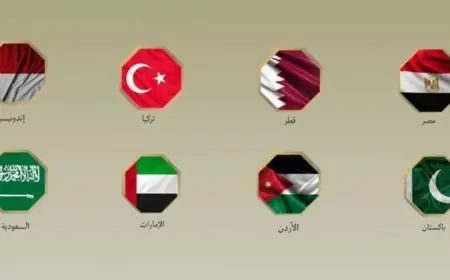 8 دول تعبر عن إدانتها لرفض إسرائيل خطة ترامب لإنهاء حرب غزة وتؤكد على أهمية إقامة الدولة الفلسطينية