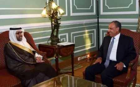 وزير الخارجية يلتقي رئيس مجلس إدارة المصرف العربي للتنمية الاقتصادية في إفريقيا لتعزيز التعاون الاقتصادي