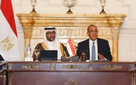 وزير الخارجية يؤكد التزام مصر بتعزيز نشاط الشركات المصرية في إفريقيا