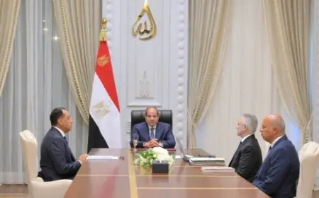 الرئيس السيسي يدعو إلى تطوير النظام القضائي وتعزيز معايير الأمن السيبراني