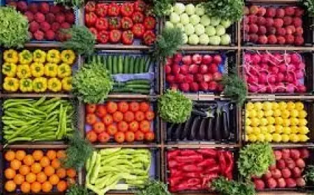 أسعار الخضراوات اليوم الثلاثاء 18 أغسطس 2026 تعرف على سعر البطاطس وأبرز الخضروات في الأسواق