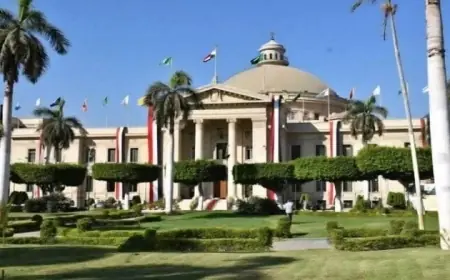جامعة القاهرة تفتح باب التحويل بين الكليات بدءا من 30 أغسطس