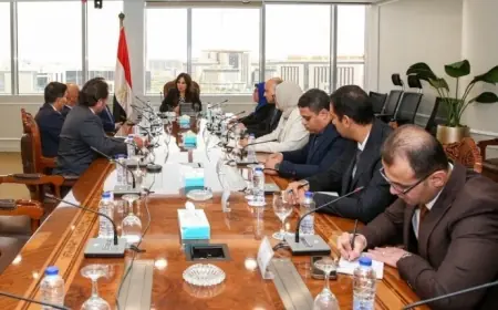 الإسكان تراجع عروض إدارة حي المال والأعمال بالعاصمة الجديدة لتحسين كفاءة التشغيل